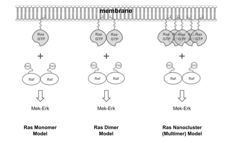 Fig. (3)