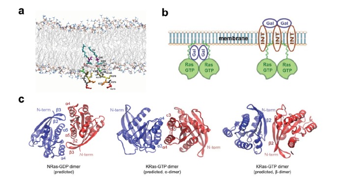 Fig. (6)