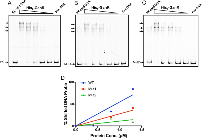 Fig 4