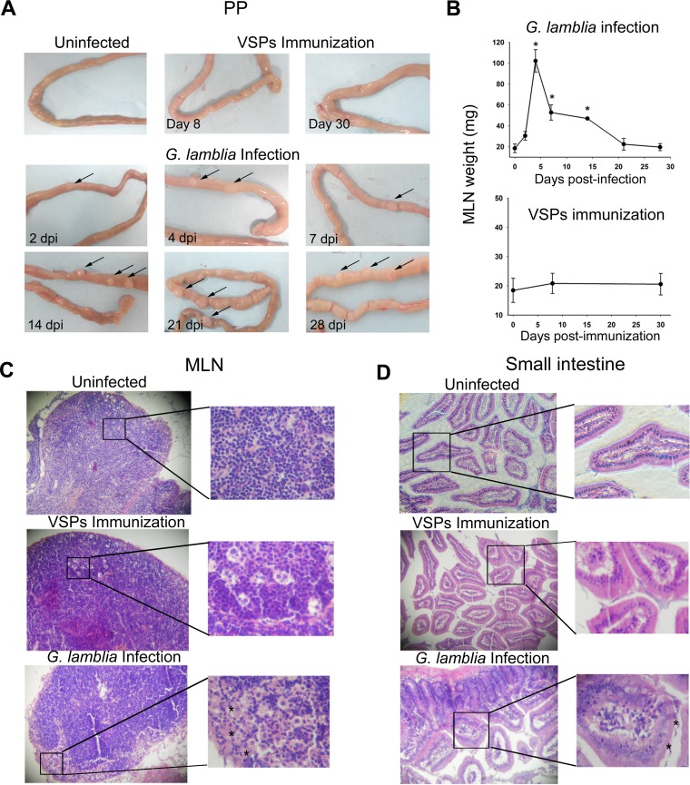 FIG 2