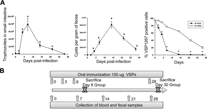 FIG 1