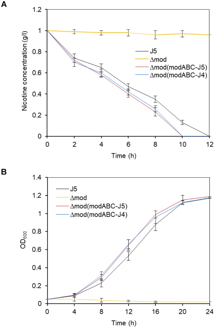 FIGURE 3