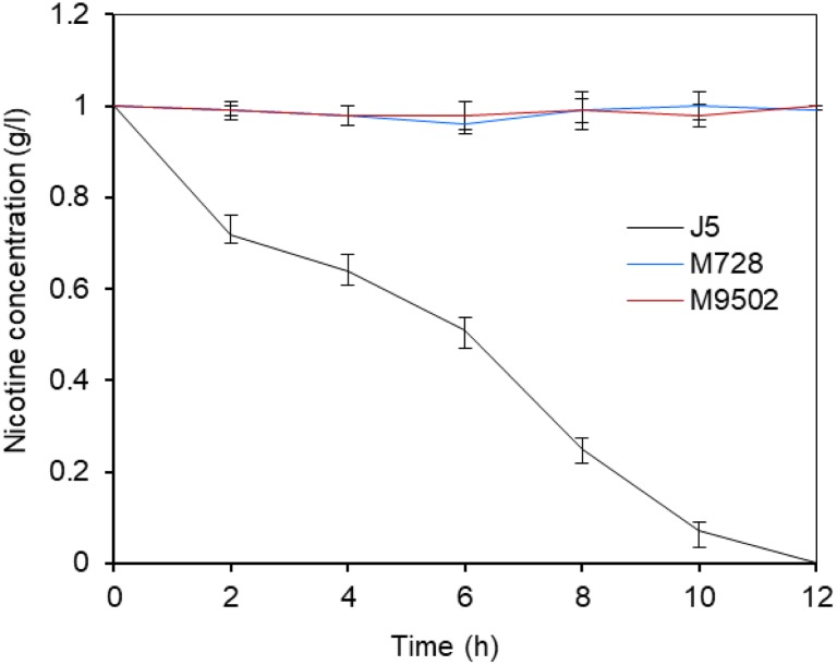 FIGURE 1