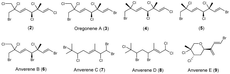 Scheme 2