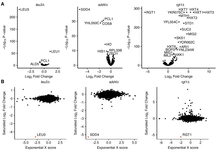 Figure 5—figure supplement 1.