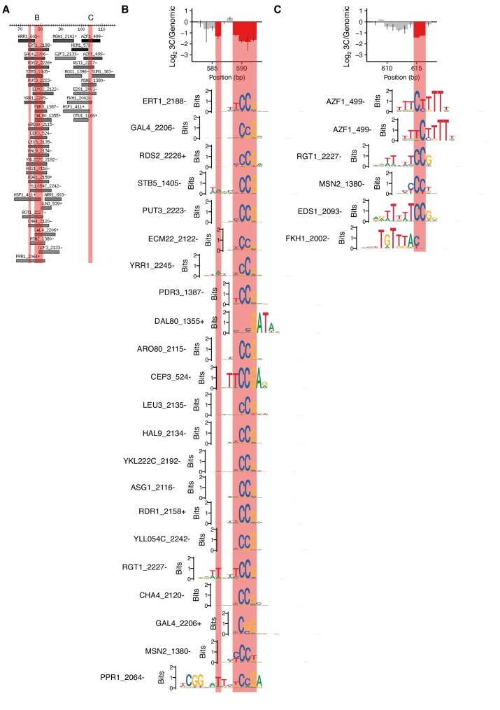 Figure 1—figure supplement 3.