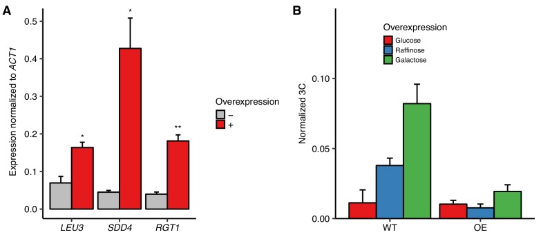 Figure 4—figure supplement 1.