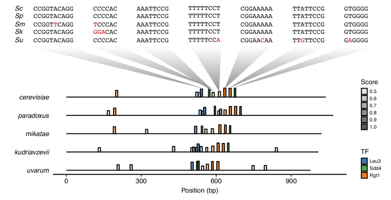 Figure 1—figure supplement 5.