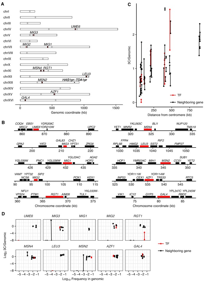 Figure 2—figure supplement 1.