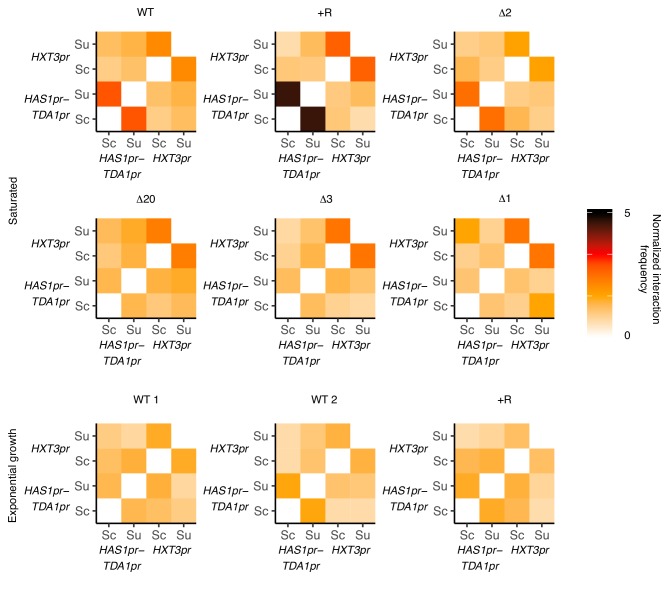 Figure 3—figure supplement 3.