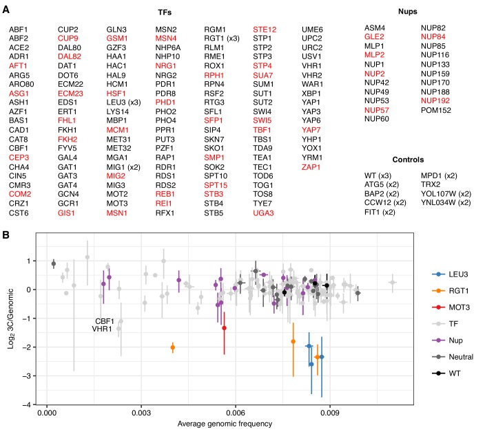 Figure 2—figure supplement 2.