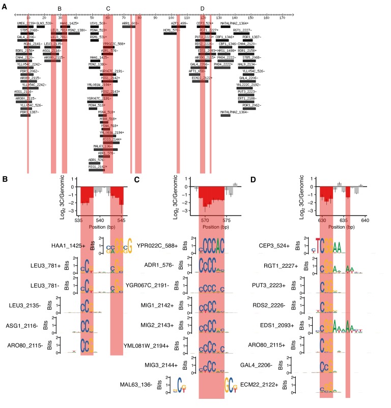 Figure 1—figure supplement 2.