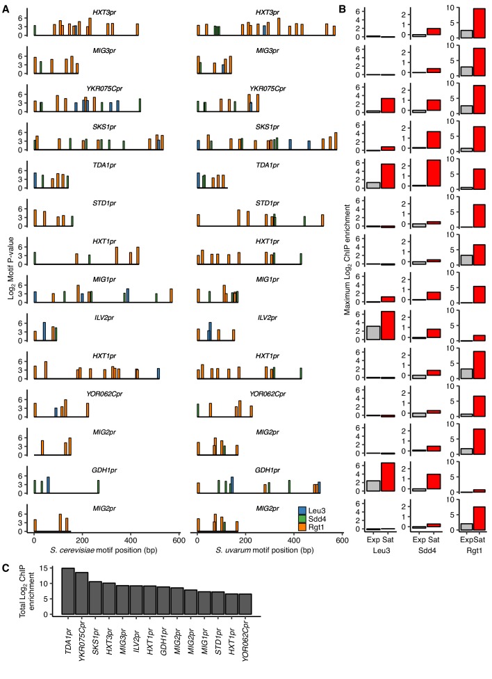 Figure 3—figure supplement 1.