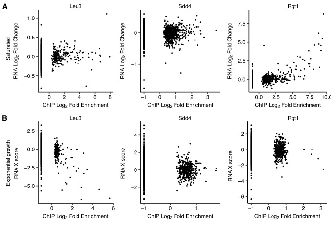 Figure 5—figure supplement 2.