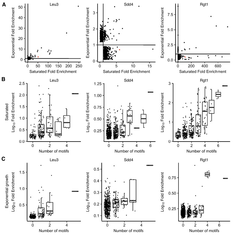 Figure 2—figure supplement 3.