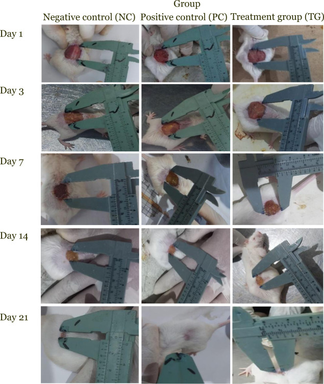 Figure 1.