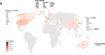 Figure 4A:
