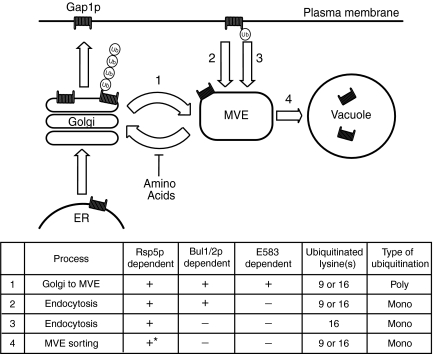 Figure 9.