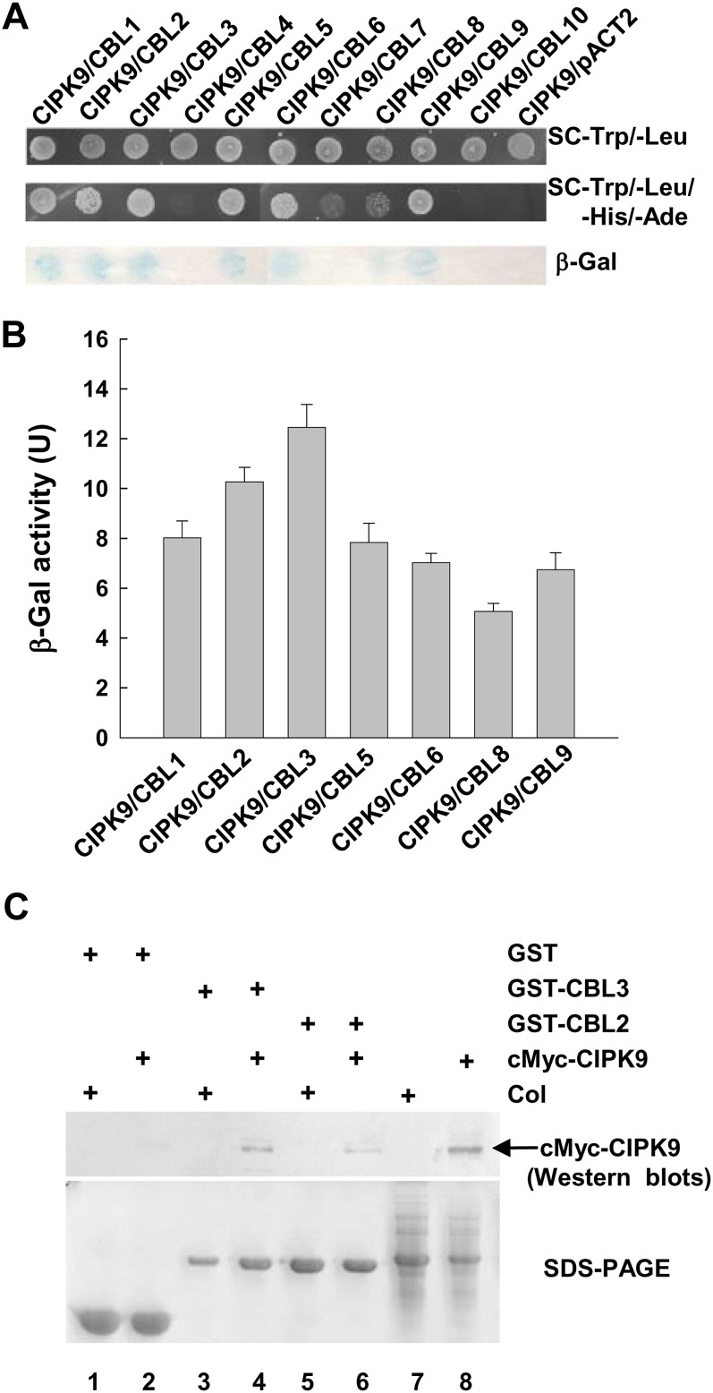 Figure 2.