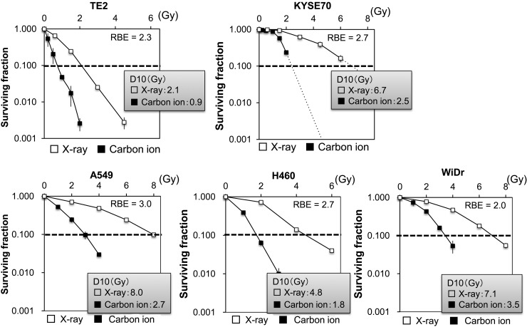 Fig. 1.