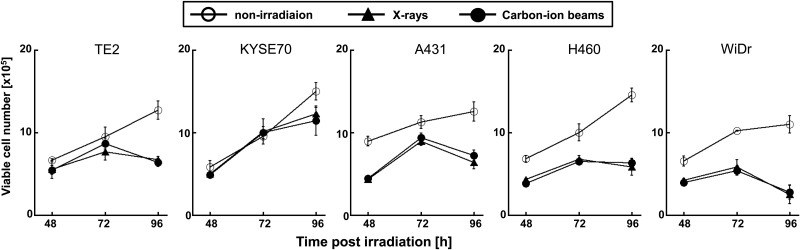 Fig. 3.