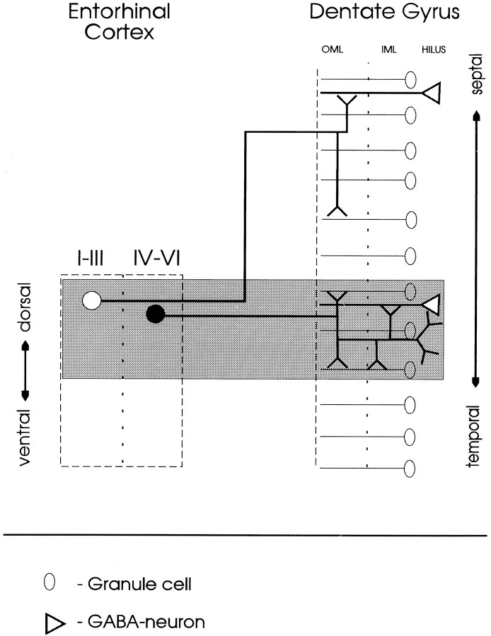 Fig. 9.