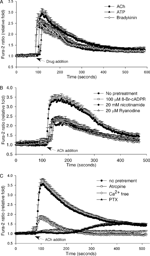 FIGURE 2.