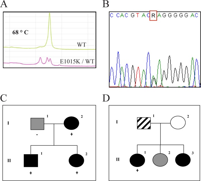 FIGURE 1.