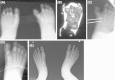 Fig. 5