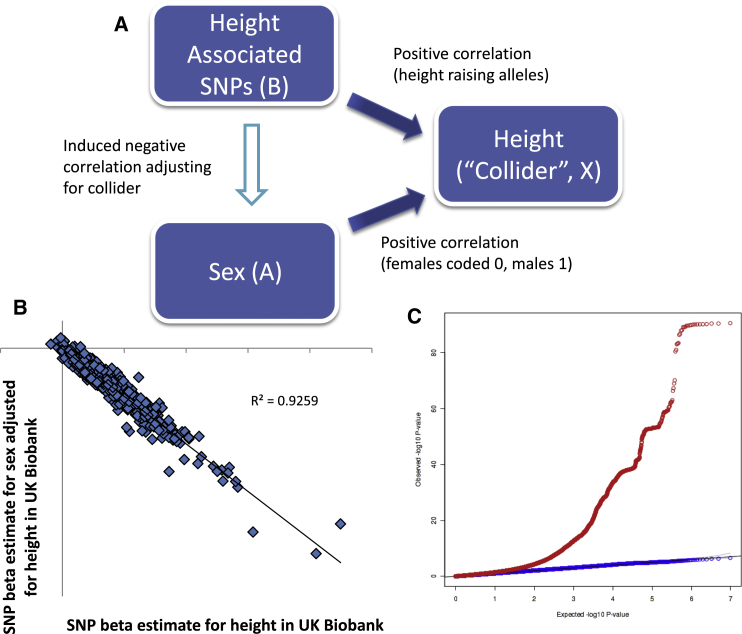 Figure 1