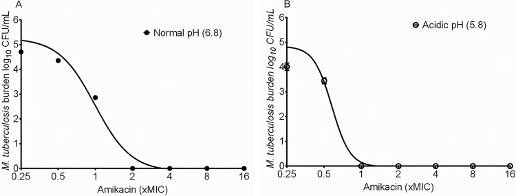 FIG 1