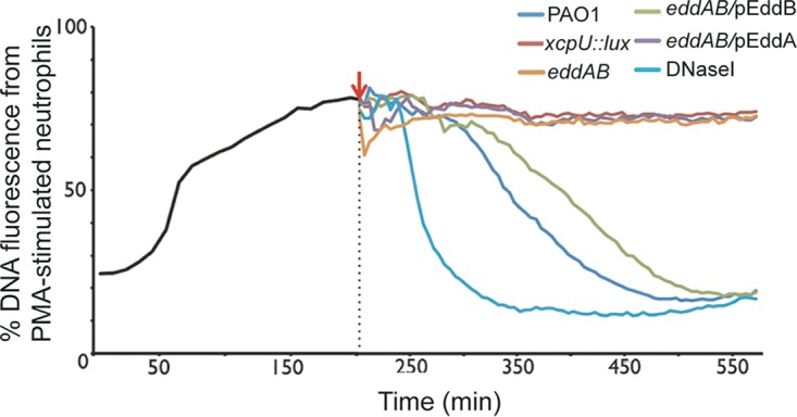 FIG 3