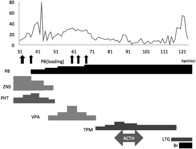 Fig. 2b