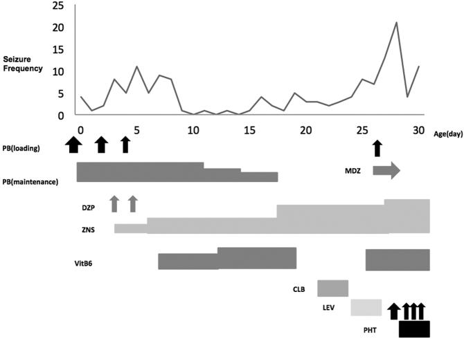 Fig. 2a