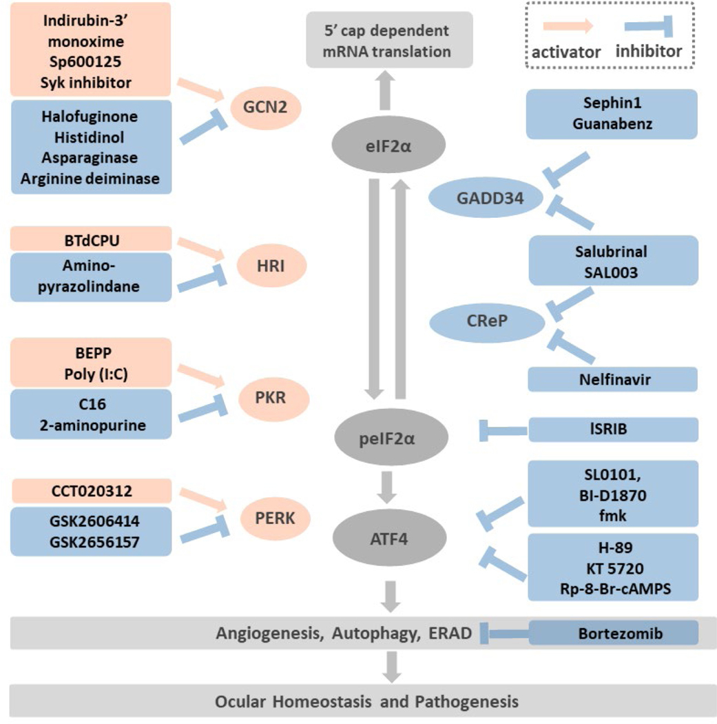 Figure 3: