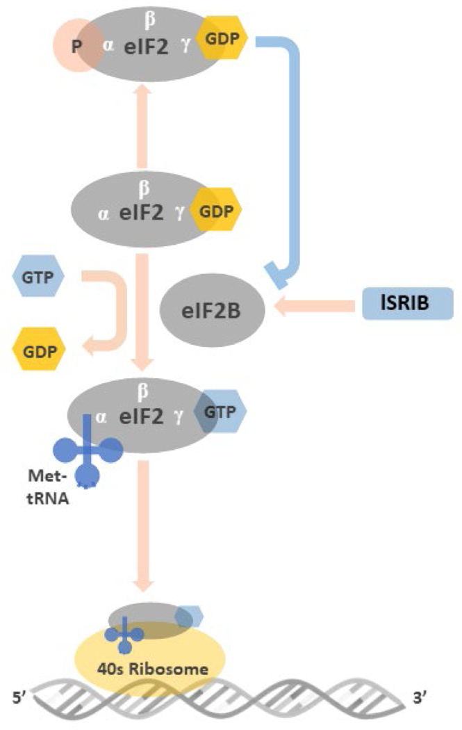 Figure 2: