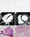 Fig. 4.