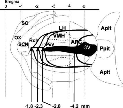 Fig. 1.