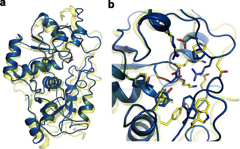 FIGURE 9.