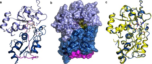 FIGURE 7.