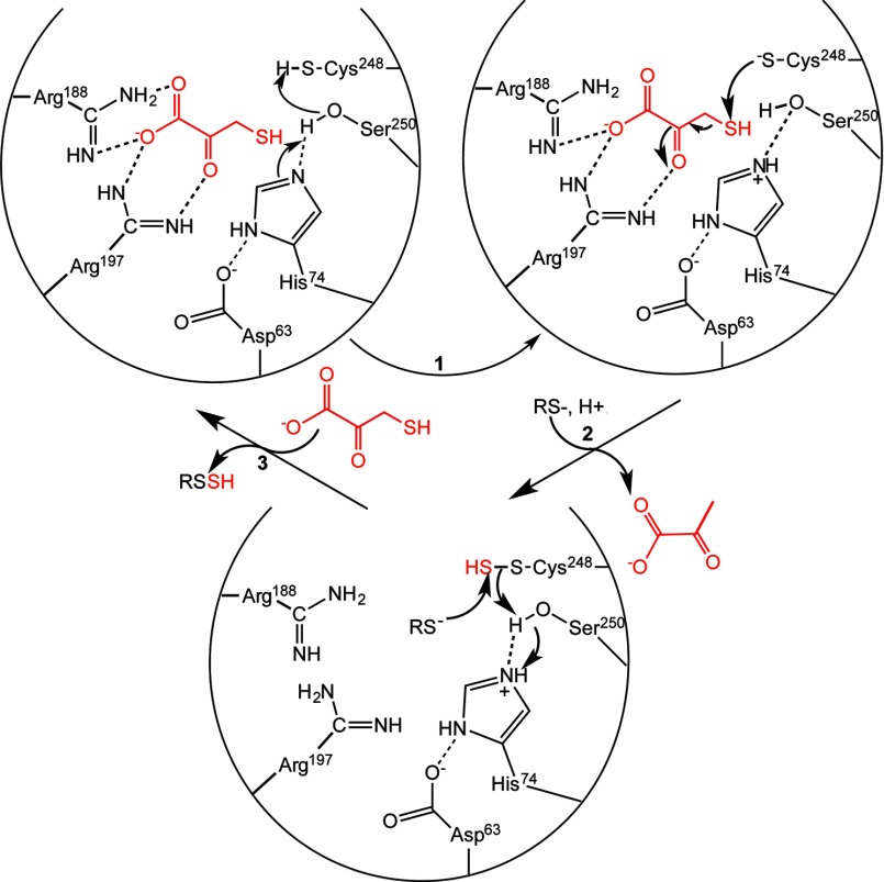 FIGURE 10.