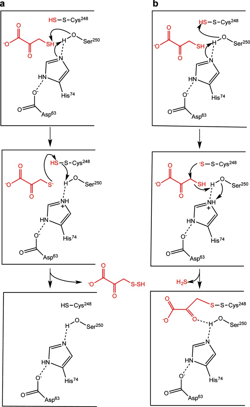 FIGURE 11.