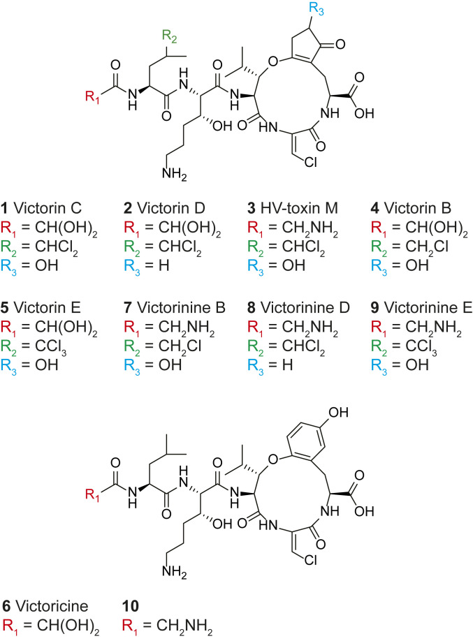 Fig. 1.