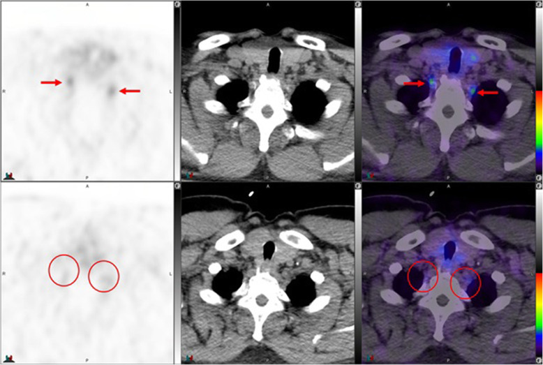 Fig. 6