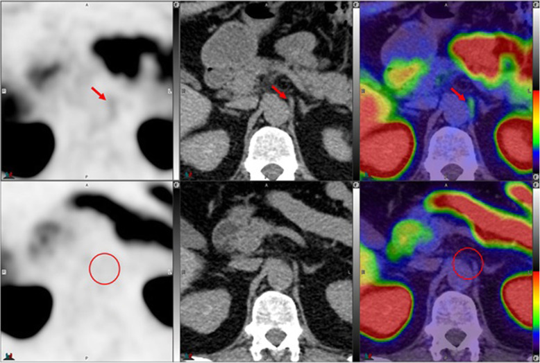 Fig. 8