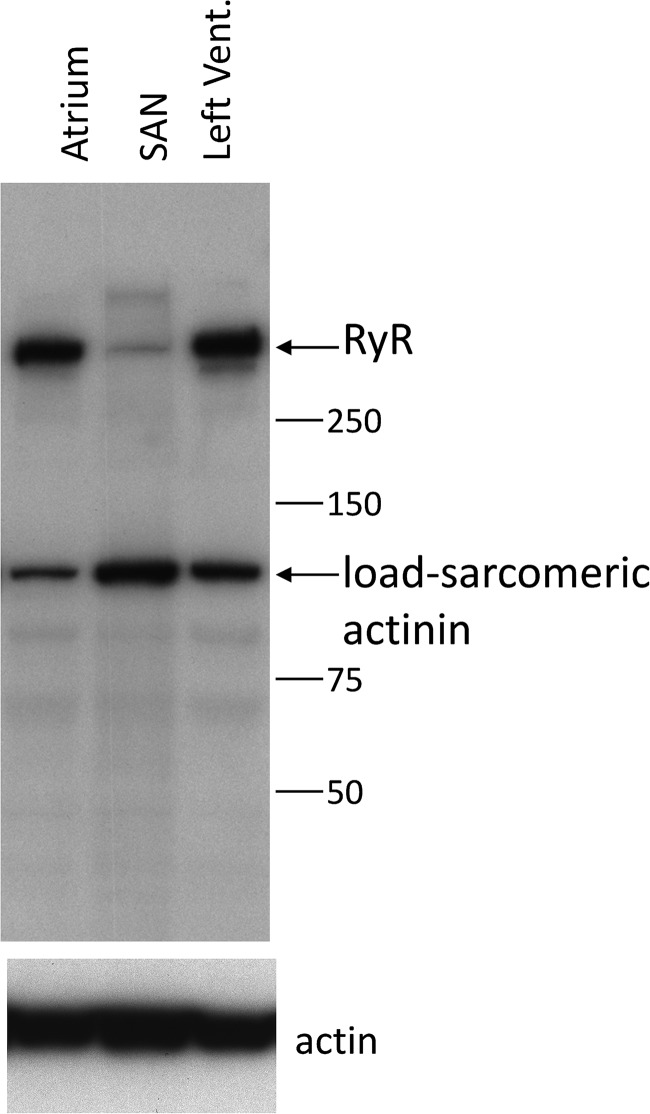 Figure 10.