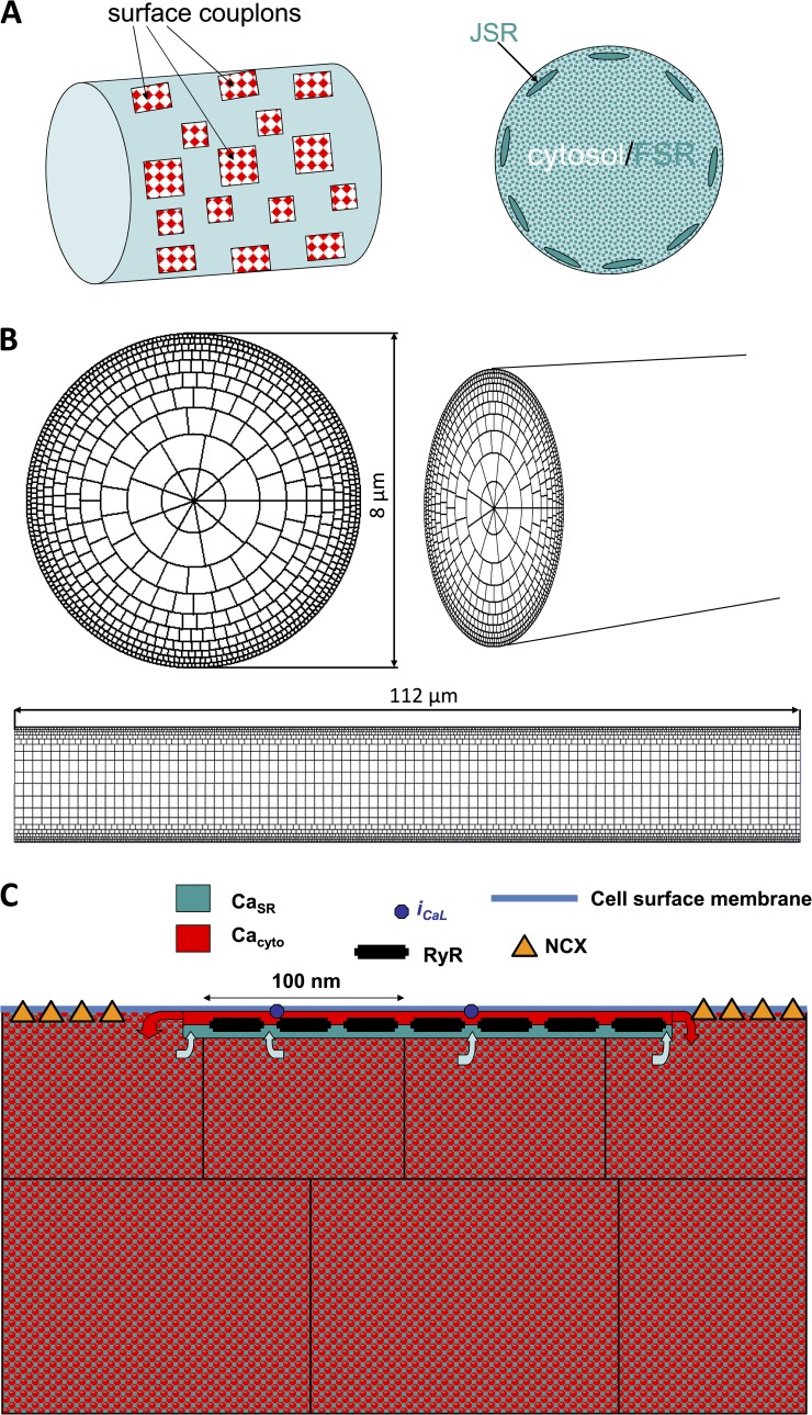 Figure 1.