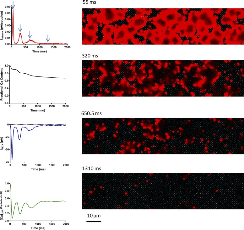 Figure 11.