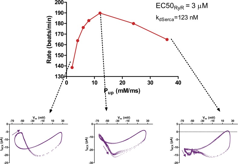 Figure 23.