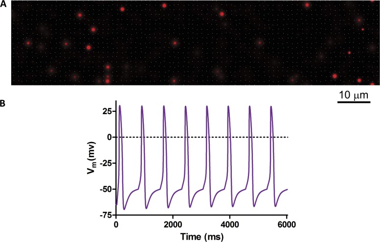 Figure 2.